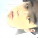 잠보나이트 이미지