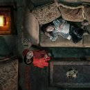 그린이에스㈜ 이미지