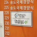 센트럴파크(관리동) | 다이어트관리에는 인천 엔더몰로지!! 송도 피부관리 제이메디스킨