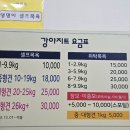 강아지트 이미지