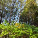 만월어린이공원 이미지