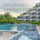 노보텔 | 푸꾸옥 리조트 추천 중부 가성비 노보텔 슈페리어 후기