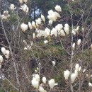 꽃에 반하다 이미지