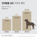 개와당신 이미지