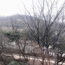 오동인력 이미지