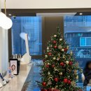 유라인 | 유라인 지방분해주사 허벅지컷주사 5회차 후기! 허벅지가 달라졌다!