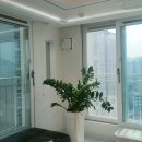 푸른길양우내안애공인중개사사무소 이미지