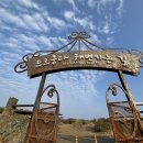 승미목장 | 뚜벅이로 제주 한달살기 - Ep 5 서귀포 독립서점 / 카트 / 드르쿰다 성산 / 빛의벙커