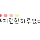 연지4
