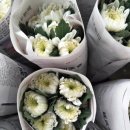 신마농장 이미지