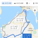 골드피쉬 이미지