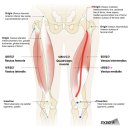 CM Fitness 이미지