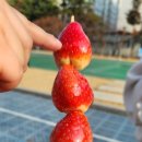 하이루탕후루 이미지