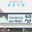 양지식당 별관 | 전현무계획 24회 출연 용인 양지 파인CC 근처 양지읍 맛집 금성식당