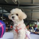 계곡식당 이미지