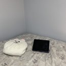 본네이처 이미지