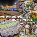 맘모스９호집