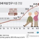 노인인구 전망 이미지