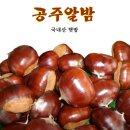 공주밤나무 이미지