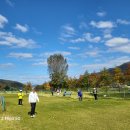 파크골프는 생활스포츠의 대세다 이미지