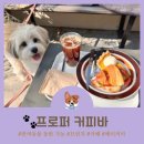 프로퍼디자인 이미지