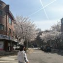 학원가 | 평촌학원가 멘큐단 라멘 웨이팅 후기｜재료 소진 후 재도전 (시오·쇼유 솔직리뷰)