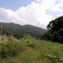 수산리-13 이미지