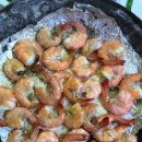 벌떡새우 이미지