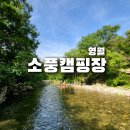 단양협동조합대강지점 | [소풍캠핑장] 영월 김삿갓계곡 캠핑장 feat. 역대급 계곡