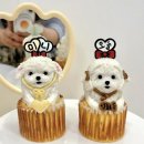 모쿠, 또모쿠 이미지