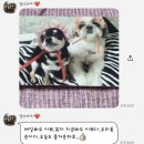 히힛