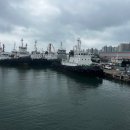 킹콩낚시 이미지