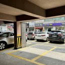 버섯마을 이미지