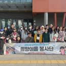 평택시청 이미지