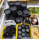 오케이삼겹살 | 부산 | 24시간 영업하는 범일동 부산삼겹살 맛집 오케이삼겹살 조방점 후기