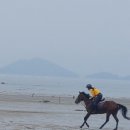 김제지평선홀스랜드 이미지