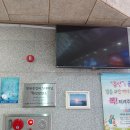 햇빛종합보수