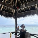 S-ONE | [ 세부 모알보알 마사지 &amp; 맛집 ] - 헤븐리스파 / Chili Bar / Andi's Talisay / One Piece 솔직후기