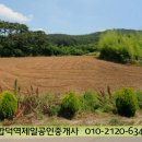 마중리 이미지