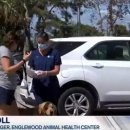 고동물병원 이미지