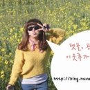달리는수산 이미지