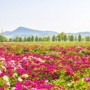 황강생태공원1 이미지