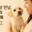 명애견센터 이미지