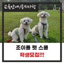 조이플마인드케어
