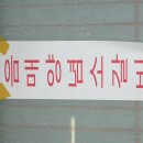 음매꿀꿀 이미지