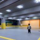 국가대표 경희대 빛 태권도 이미지