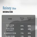 블루25(Blue 25) 이미지