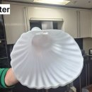 푸른아파트 | 고양이사청소 푸른마을 아파트 후기