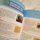 개냥이 연구소 이미지