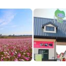죽산농장 | 아이와 함께 가기 좋은 체험형 농장 여행지, 안성 팜랜드 완전정복 가이드!